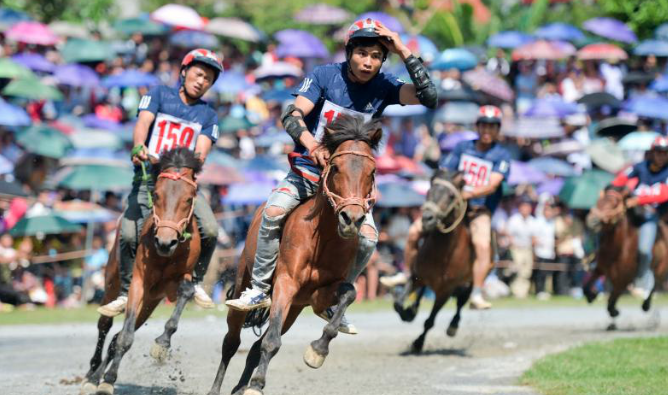 Đua ngựa ở Việt Nam: Sự Hấp Dẫn và Lịch Sử Phát Triển Ku bet